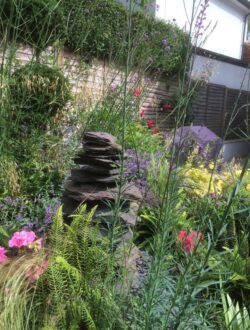 Harpenden Landscaped Garden Full Garden design and landscaped