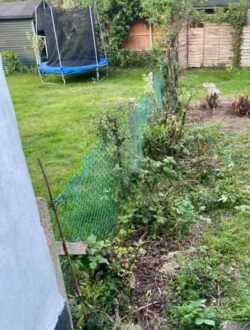 Closeboard panel fencing in watford
