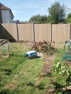 Closeboard panel fencing in watford 4